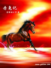 《从姑获鸟开始》